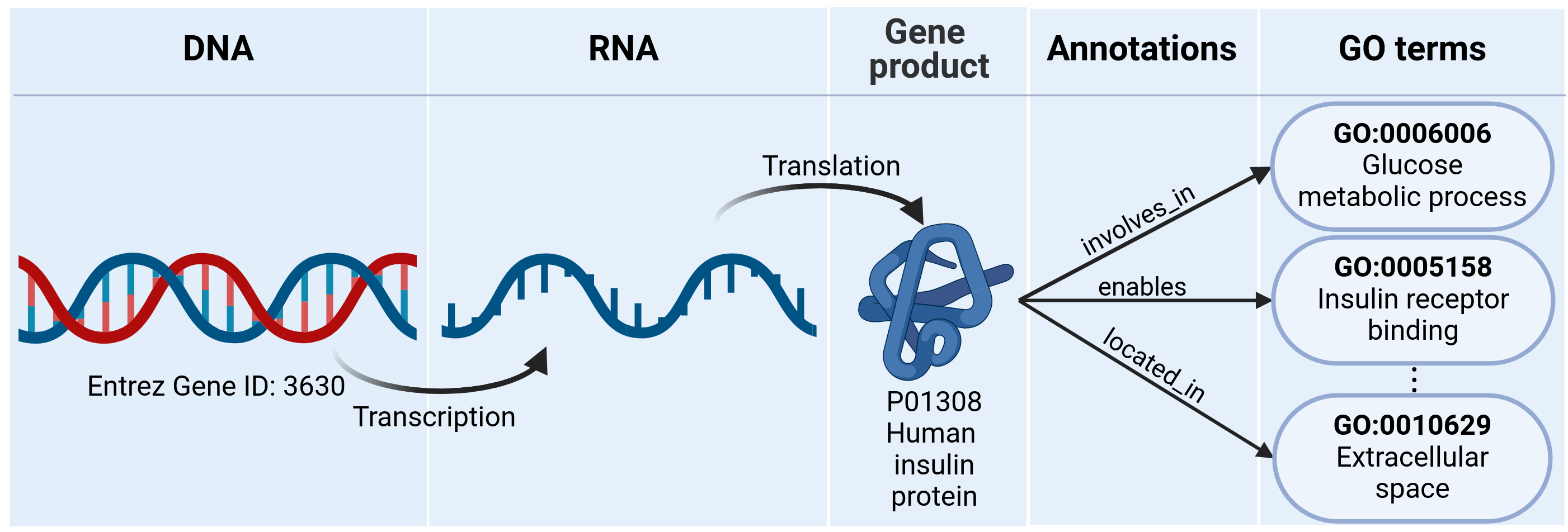 UniEntrezDB overview